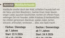 Flyer Ausschnitt WL2